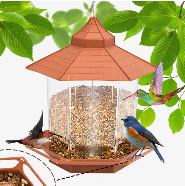 Automatic Bird Feeder