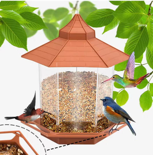 Automatic Bird Feeder