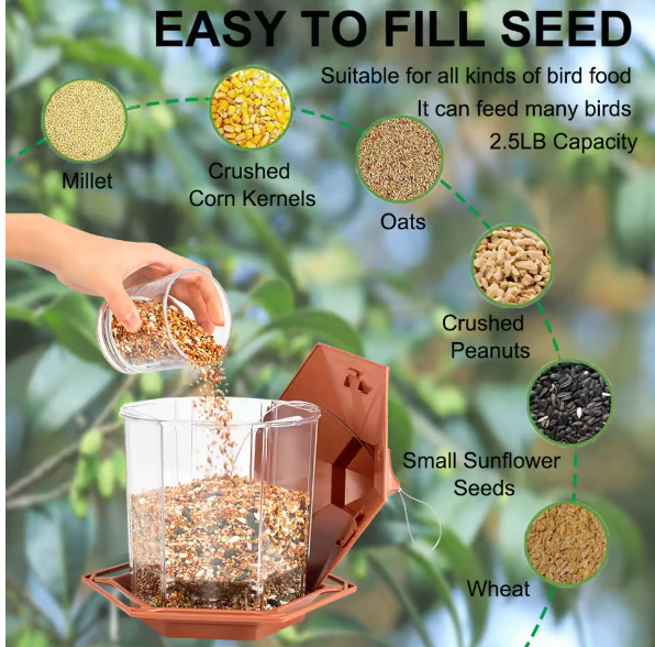 Automatic Bird Feeder
