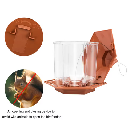 Automatic Bird Feeder