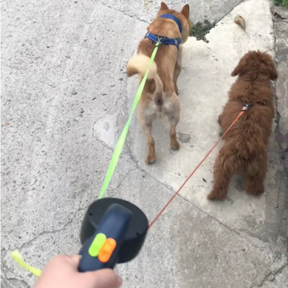 Dual Pet Retractable Leash Rope with LED Light for Small Dogs